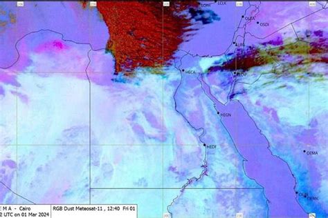 إنسحاب غير متوقع وتحرك غريب من حارسة المرمى.. أحداث غير معتادة في الجولة الرابعة من الدوري