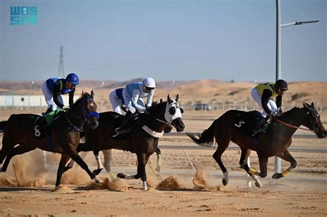 "توما هوك" بطل لتاسع سباقات ميدان الفروسية بالجوف
  منذ أقل من 5 دقائق