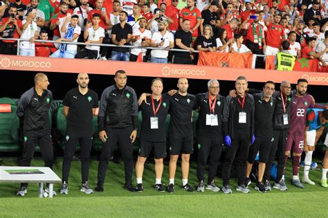 رسميًا.. قبول استقالة محلل أداء الزمالك
  منذ أقل من دقيقتين