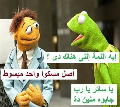 نكت الضفدع الأخضر كرميت 2025 مع الصور